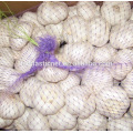 Agricultural Packaging Vegetable Potato Onion Garlic Firewood/Orange Bag Small Mesh Bag